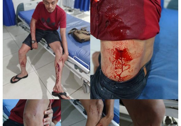 GridArt_20260111_202359236